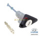 Hyundai i20 Left Door Lock...