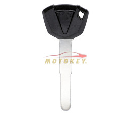 Kawasaki Ninja Transponder...